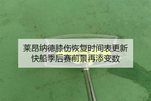 莱昂纳德膝伤恢复时间表更新 快船季后赛前景再添变数 - KY sports